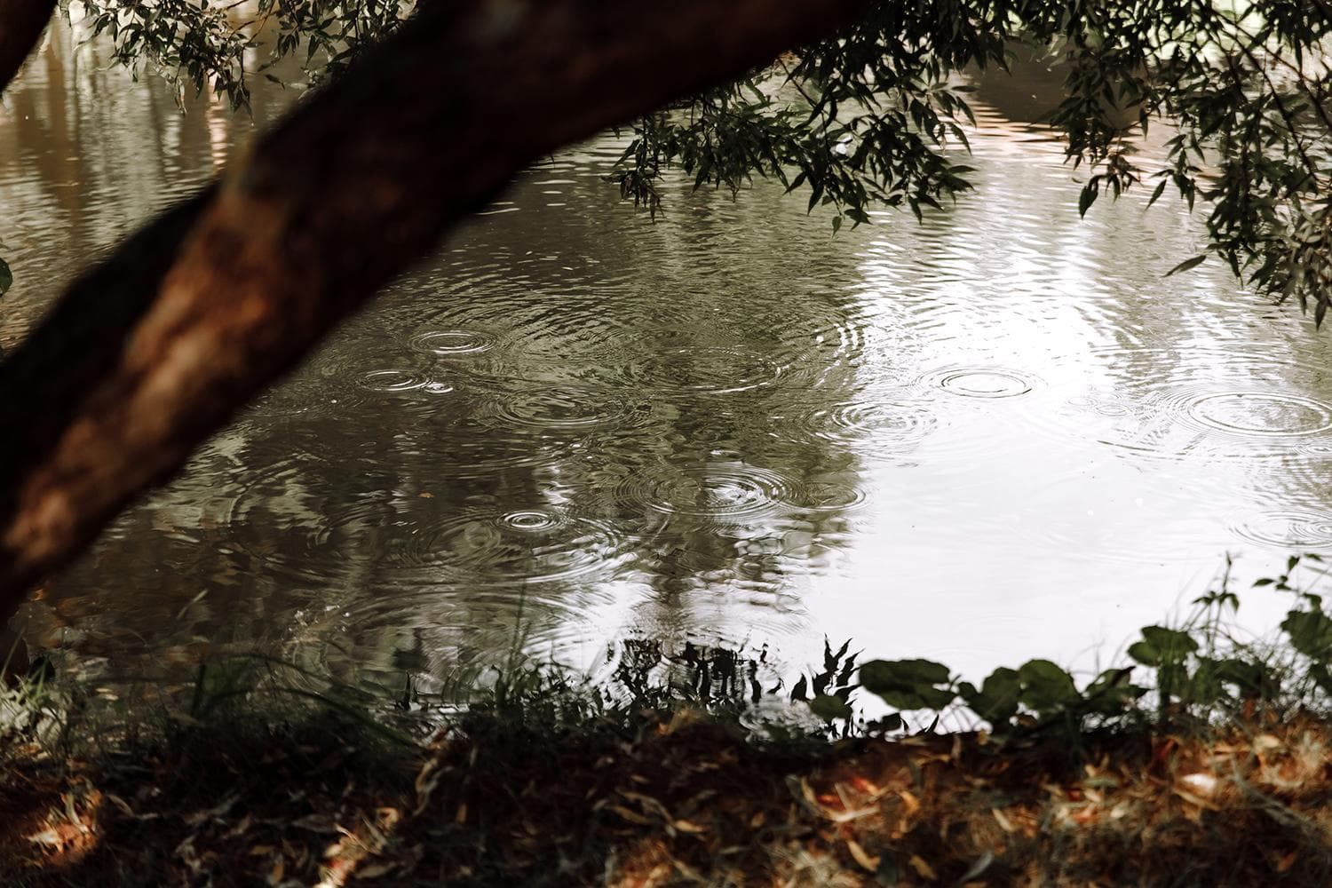 Мини-отель "Таежный"