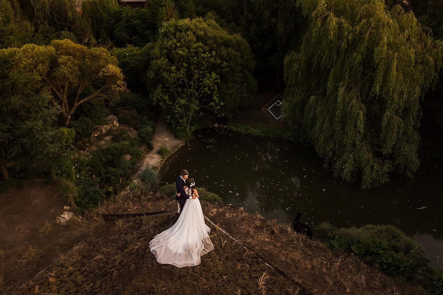 Молодожены на крыше