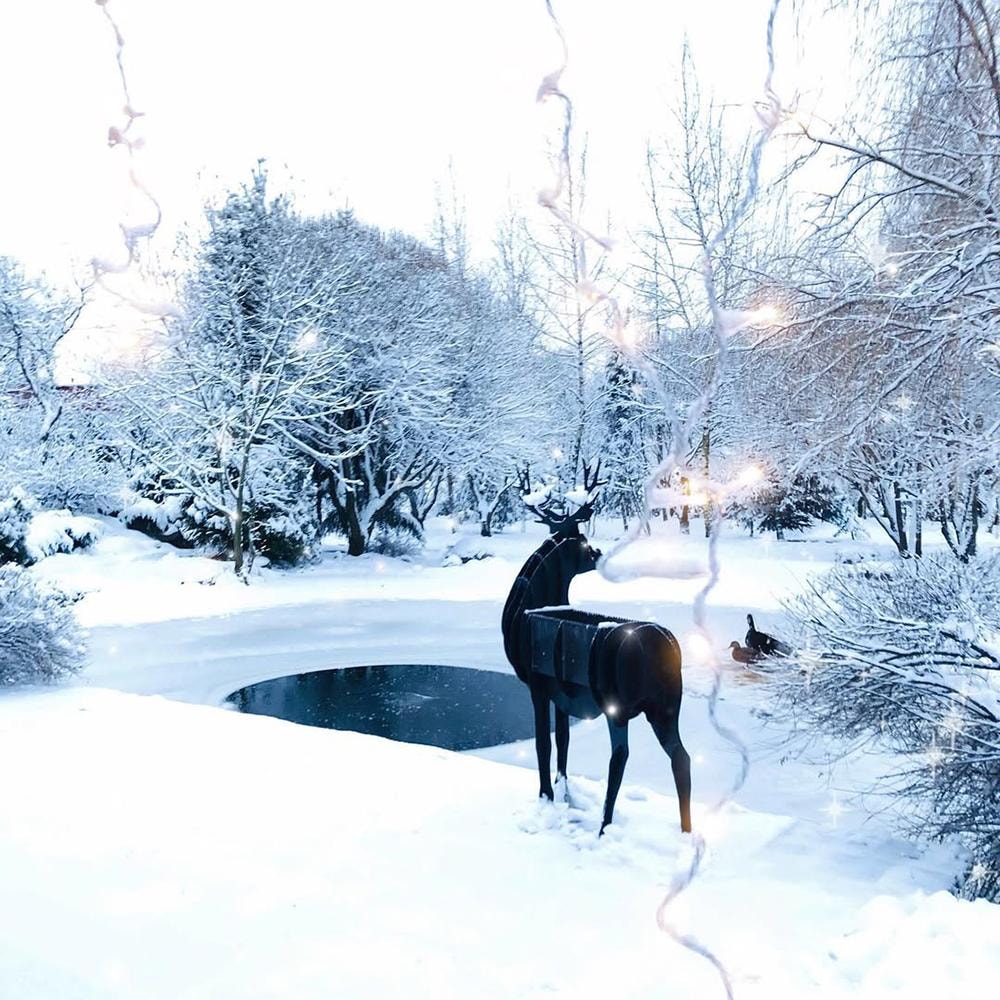 Мини-отель "Таежный"