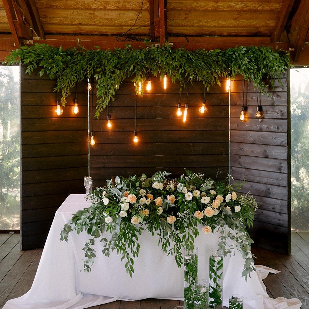 Задник (ширма)